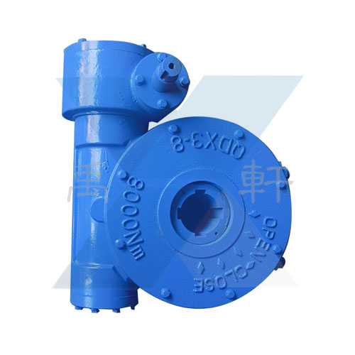 D343X-10-DN800法兰蝶阀专用管网式涡轮箱